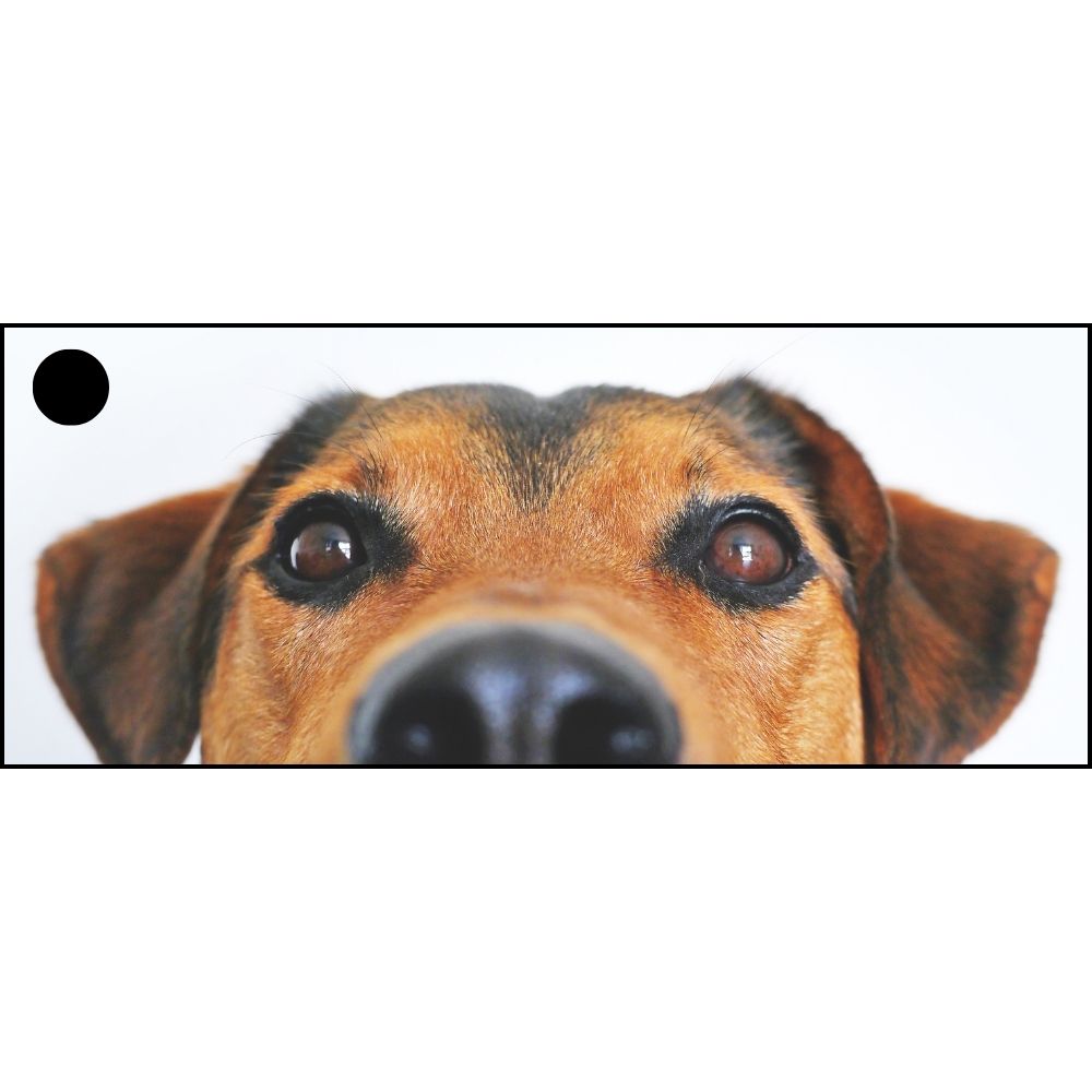 Image Only - Custom Key Tag